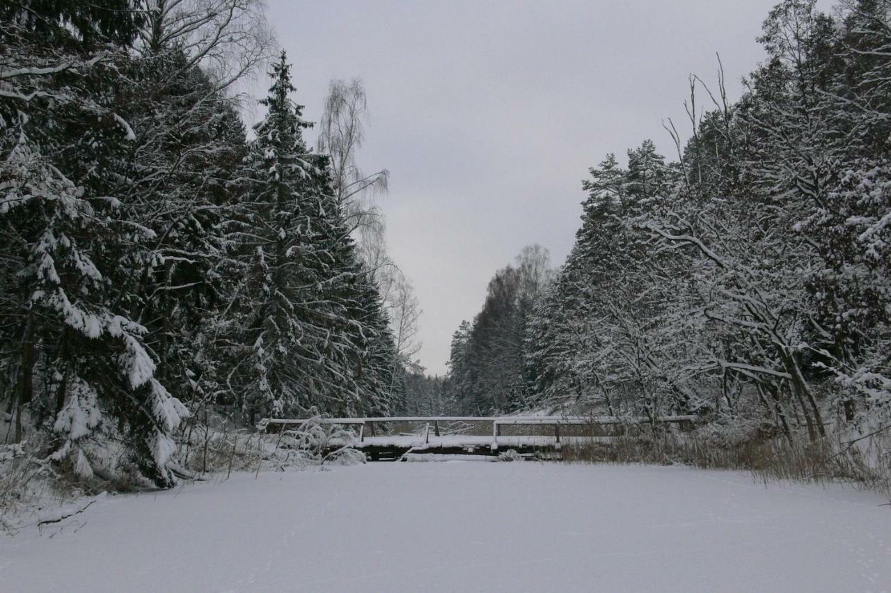 Zlota Lesniczowka Villa Rydzowka Bagian luar foto